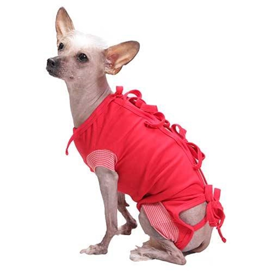 Picture of FEMALE DOG/CAT POST OPERATIVE SHIRT